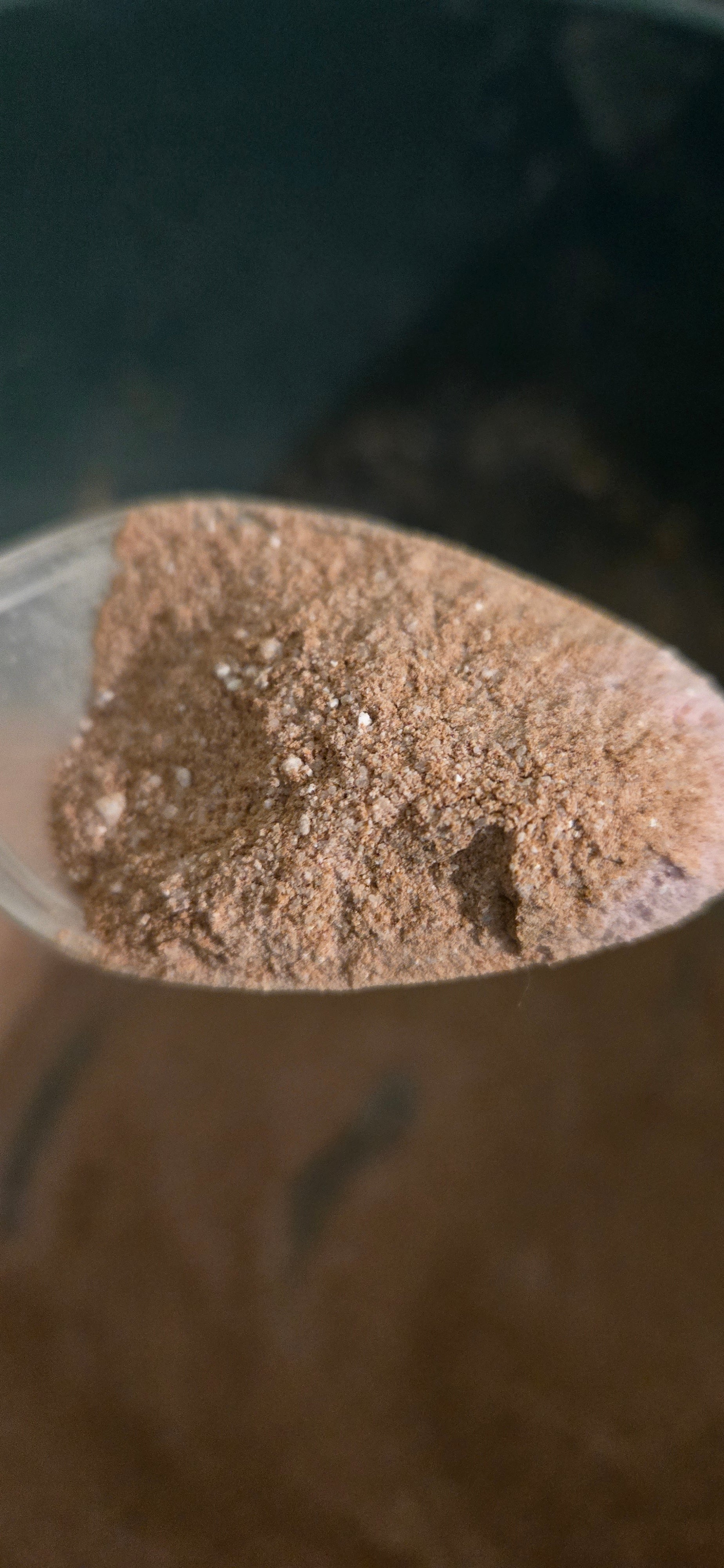 Royal Priesthood Energy Boost Tea