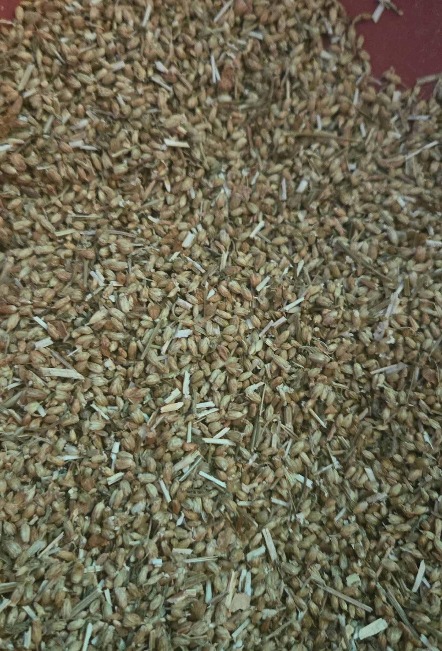 No more menstrual pain tea