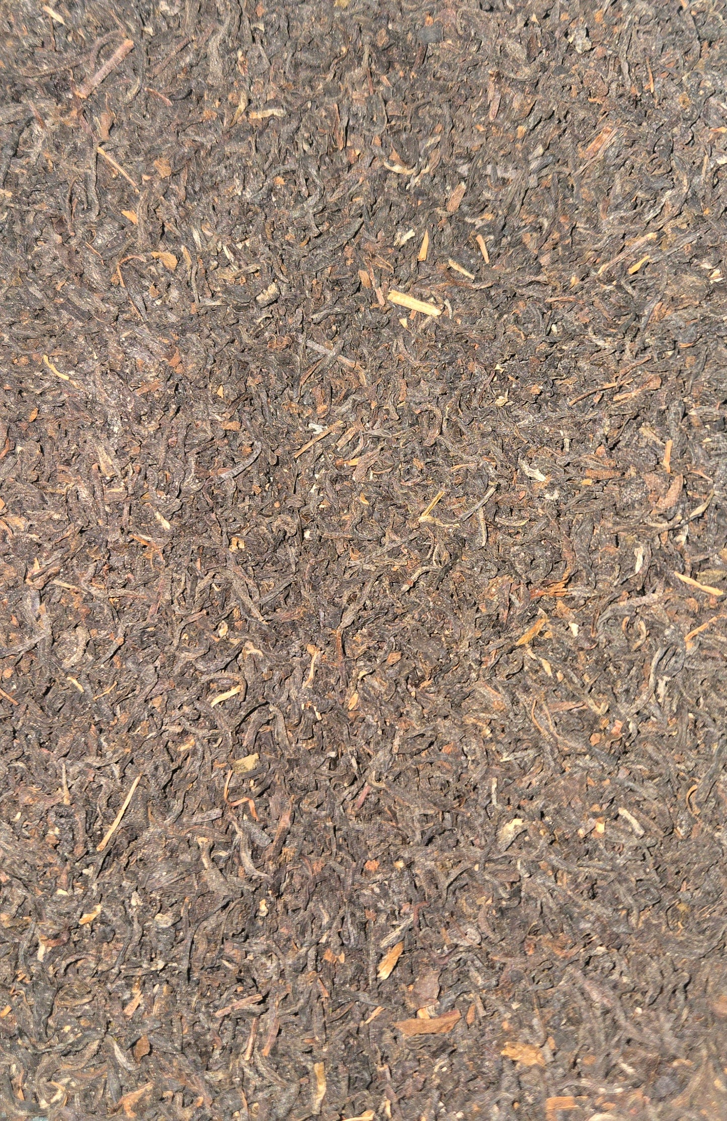 The wakey wakey no snoozy tea