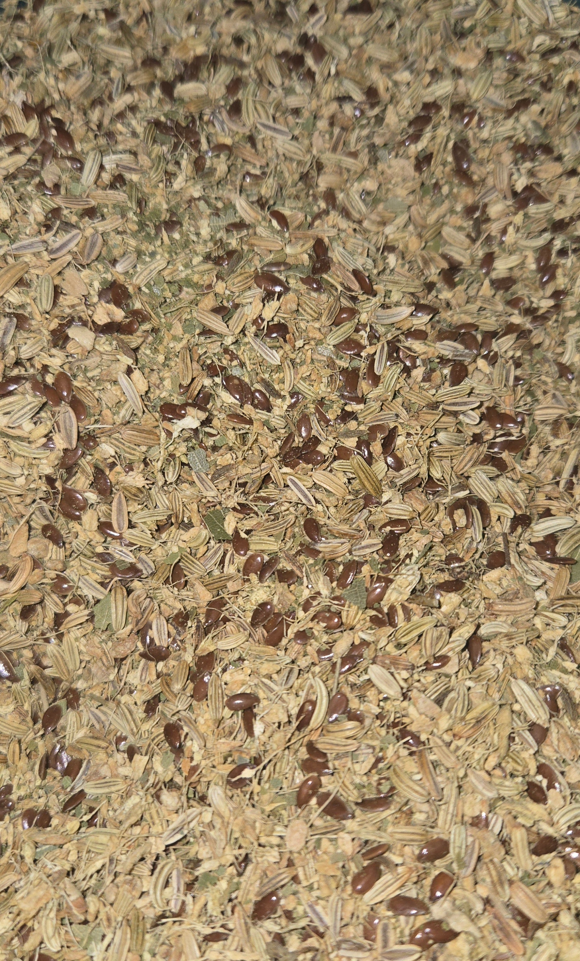 Workout weight loss tea bags