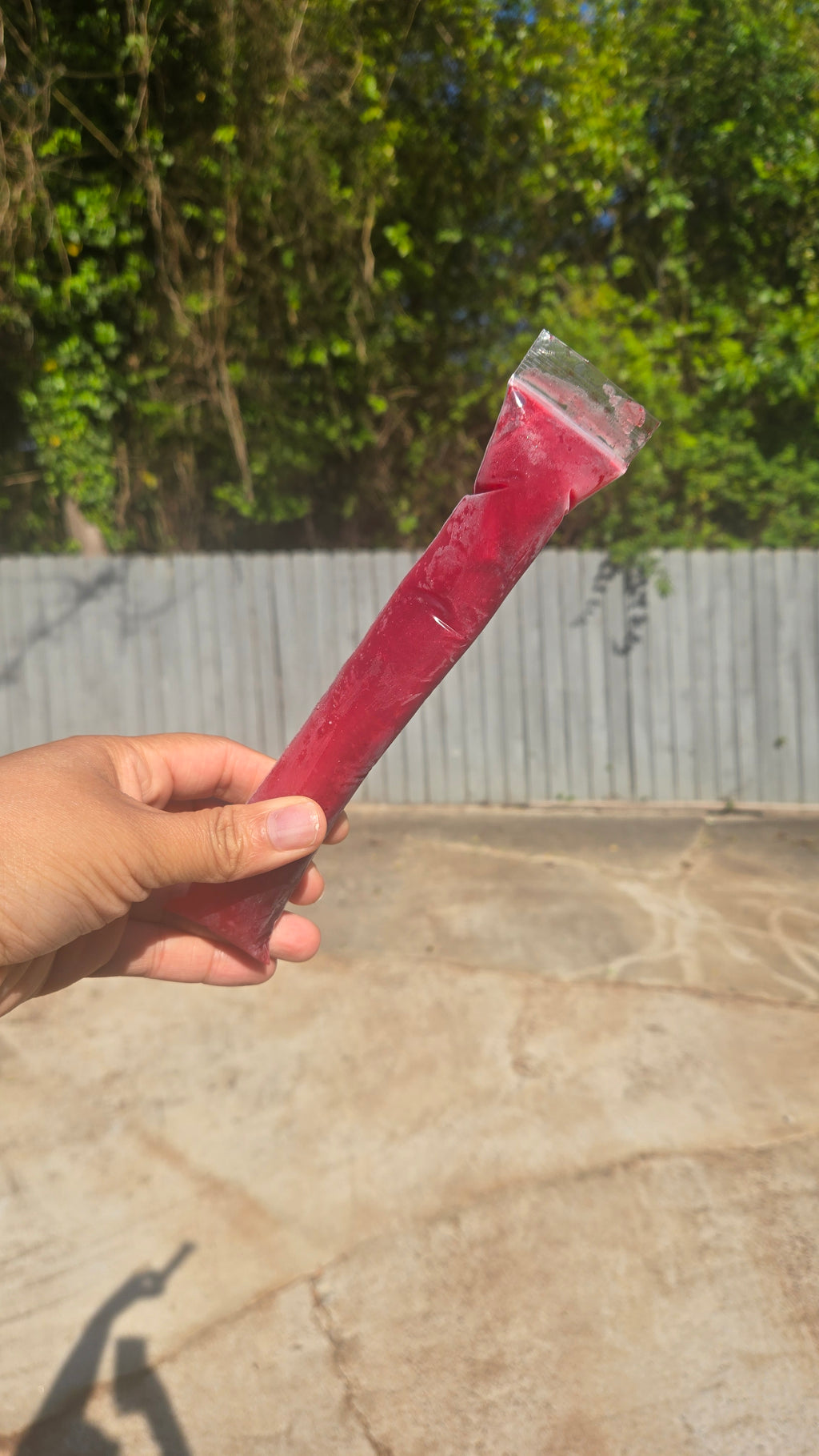 Hibiscus Fruit Punch Tea Popsicles