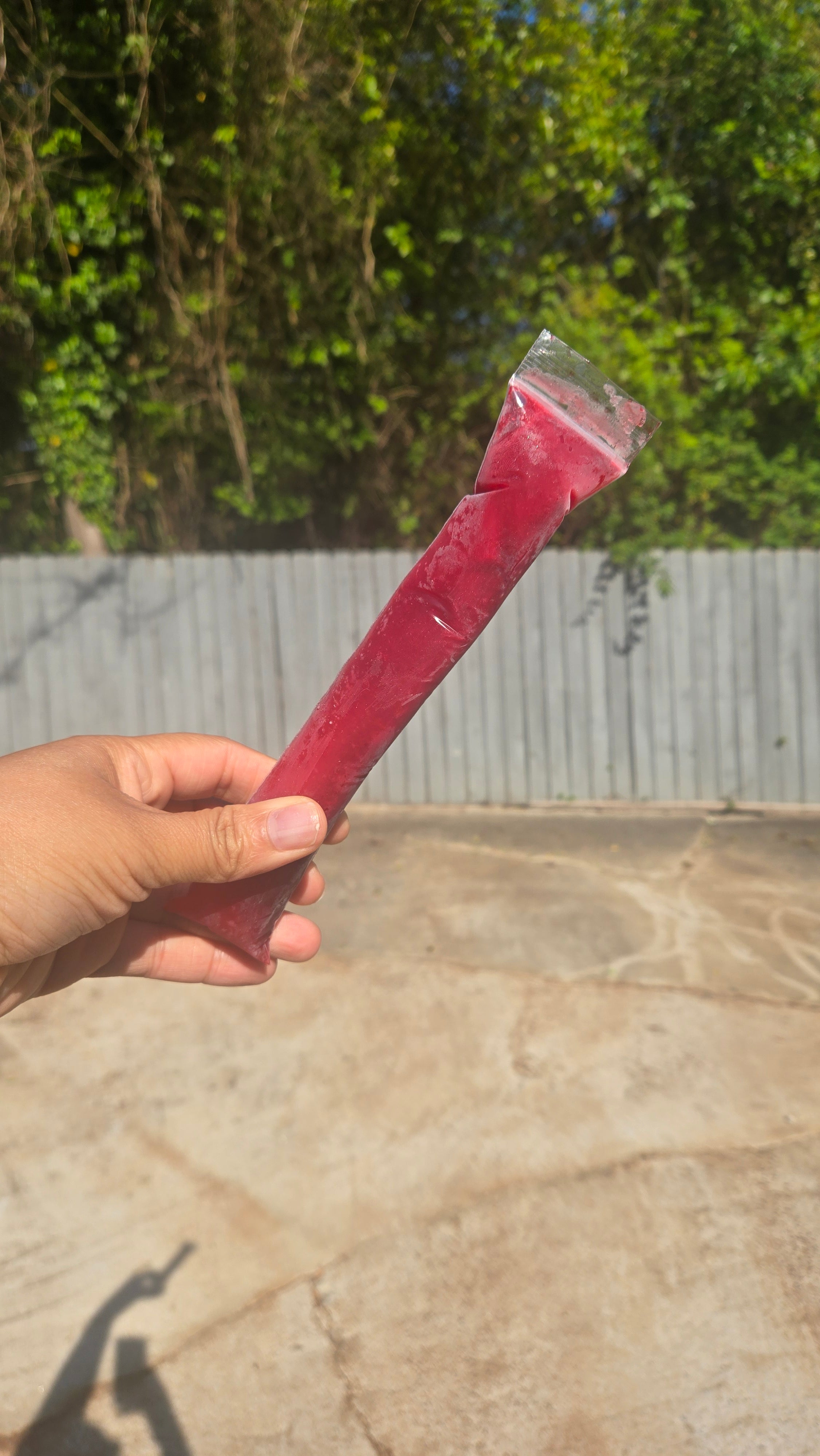 Hibiscus Fruit Punch Tea Popsicles