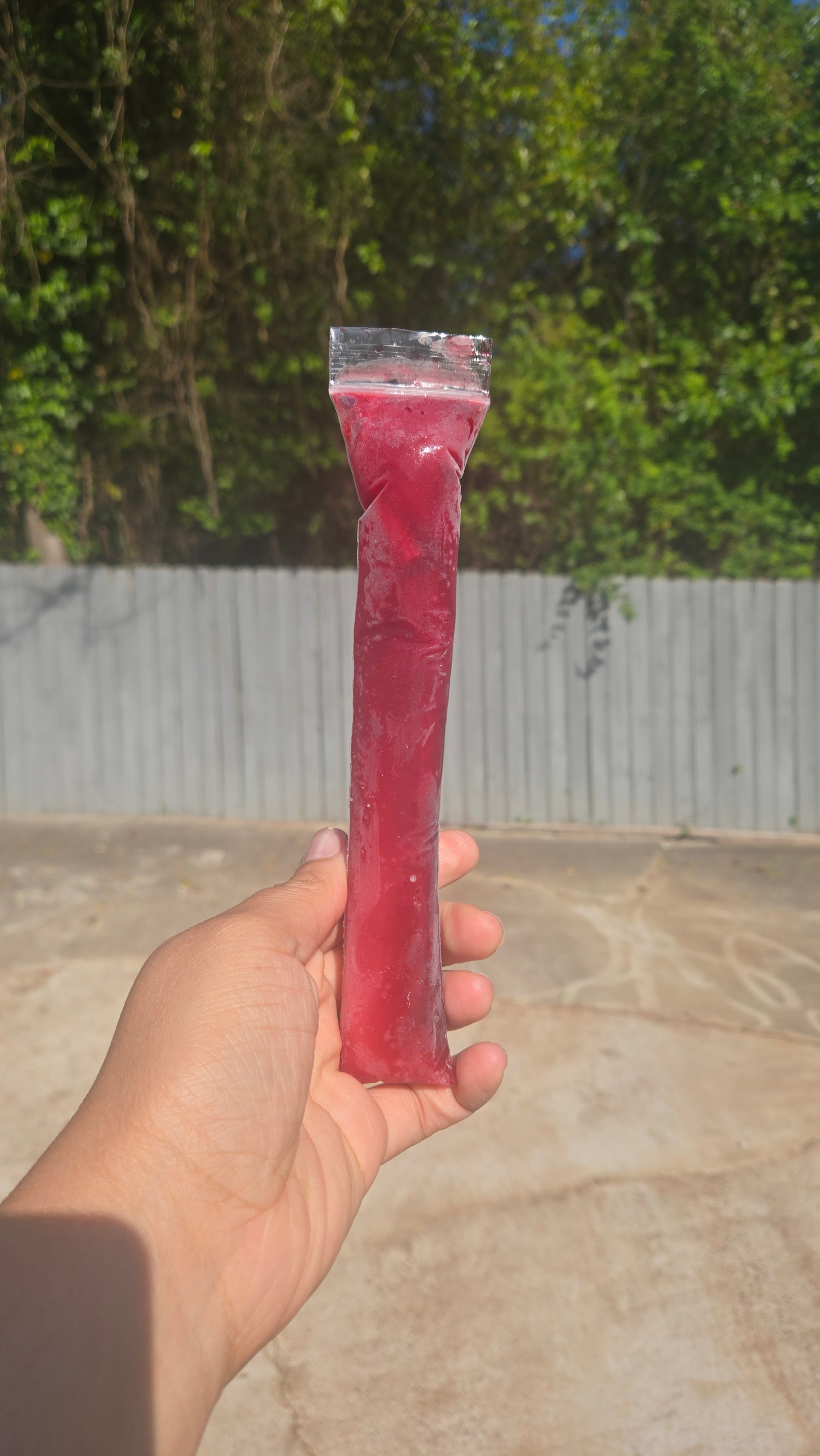 Hibiscus Fruit Punch Tea Popsicles