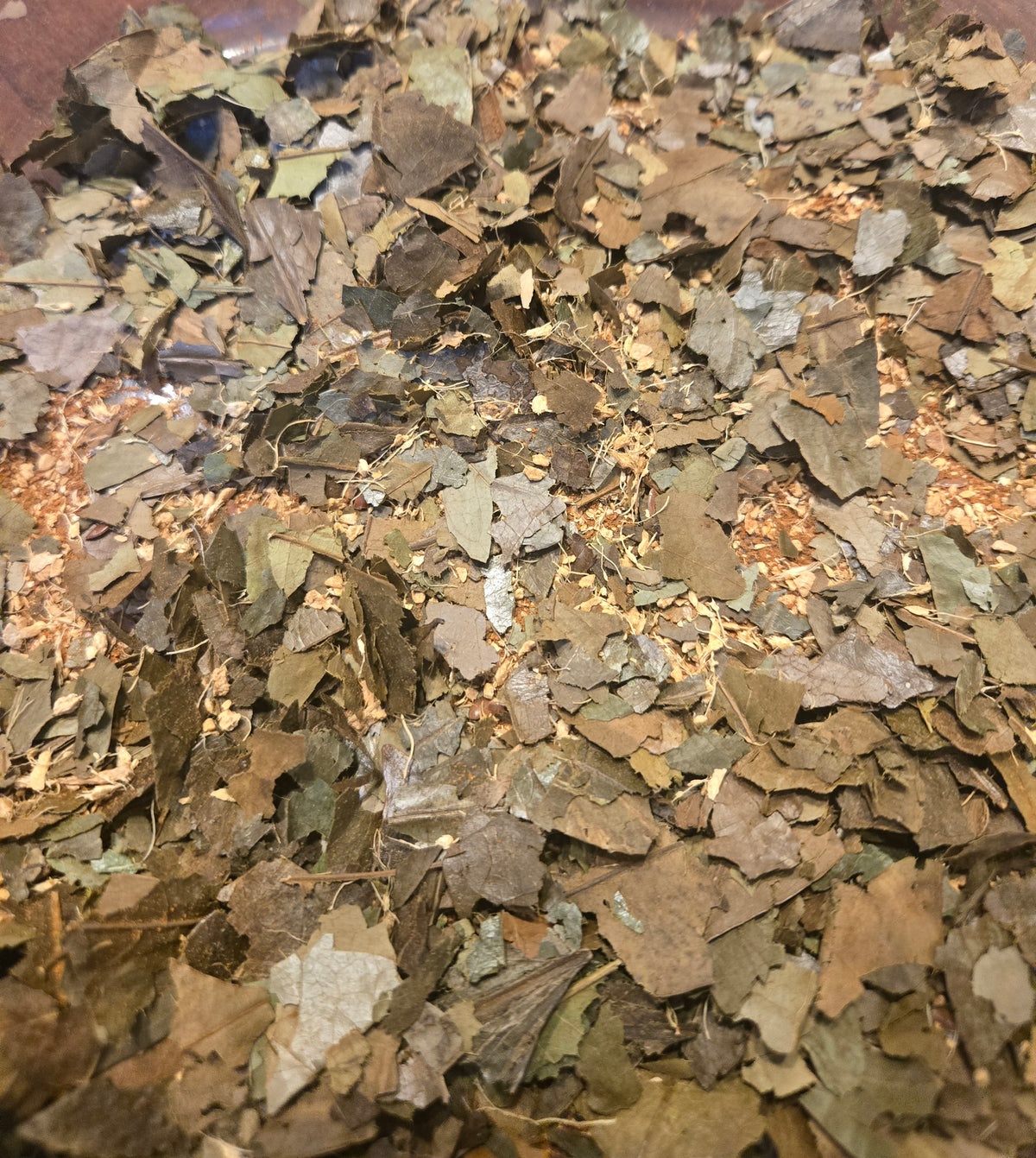 Soursop Spice Blood Cleanser Tea