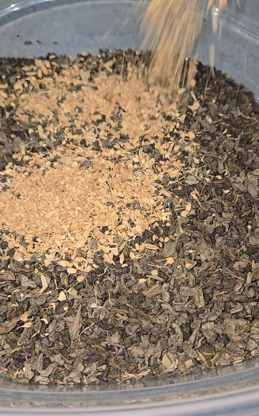 Green Ginger Fennel Tea - Family Size