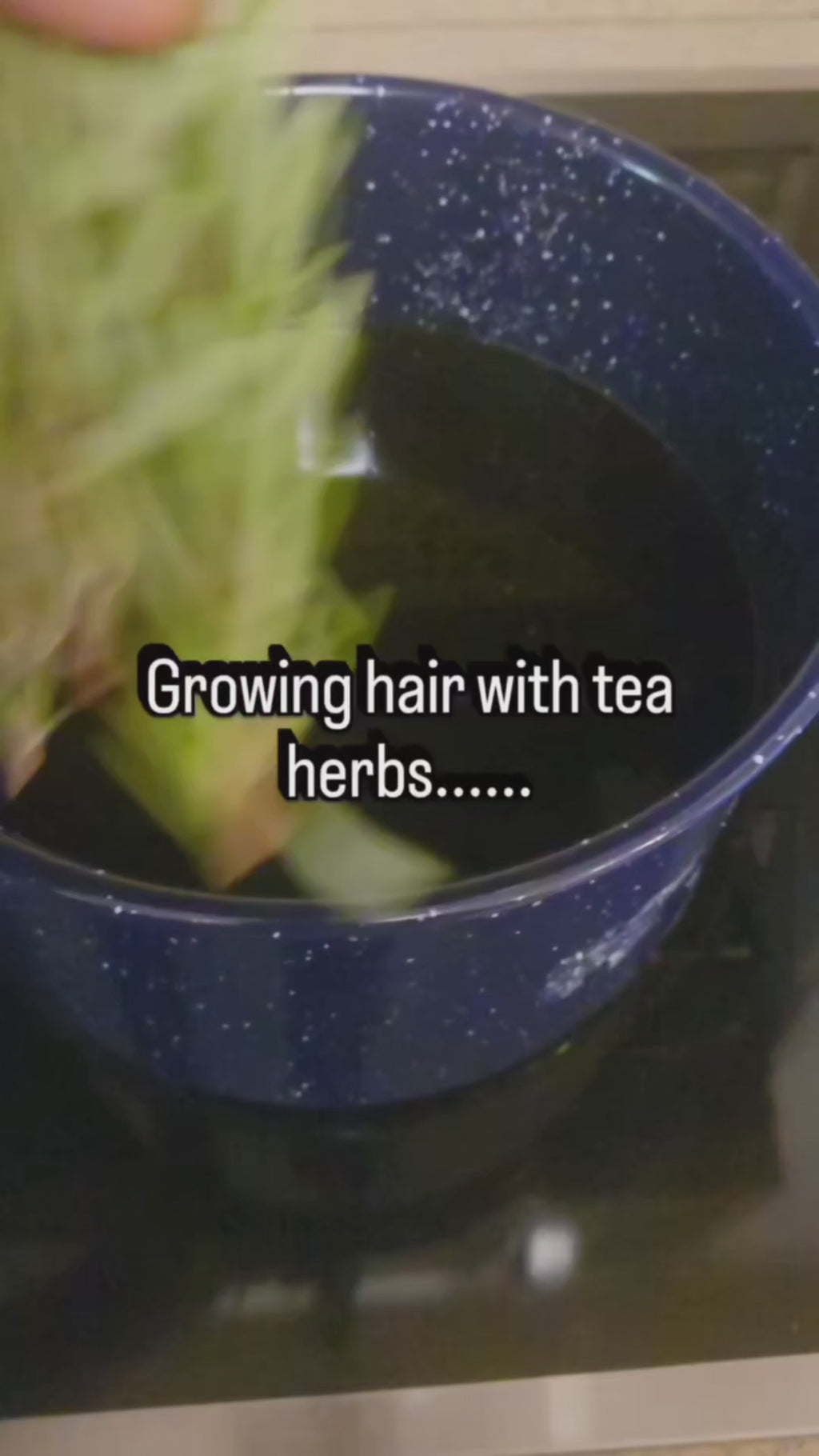 Lady El’keturah Tea Therapeutic Hair Growth Oil